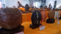 拓展奇石文化内涵共同探寻来自大自然的鬼斧佳作