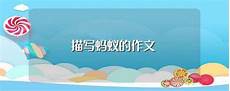 攻读MBA不仅能学习到新知识
